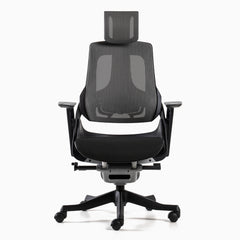 Desky pro ergonomic chair in black