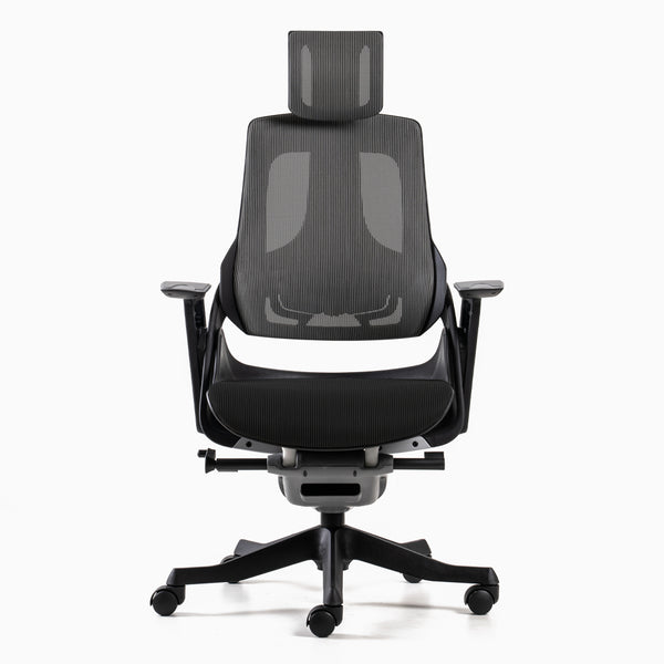 Desky pro ergonomic chair in black