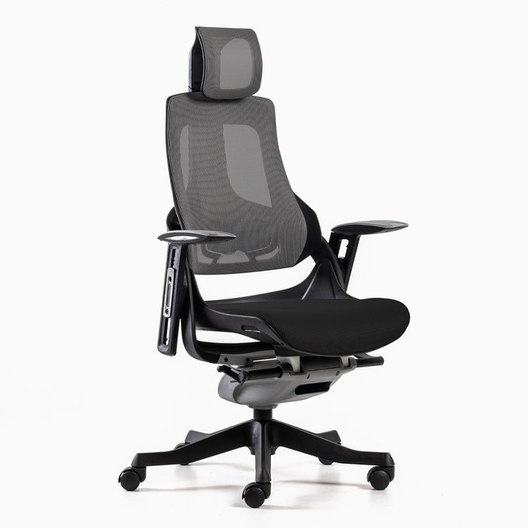 Almost Perfect Desky Pro+ Ergonomic Chair