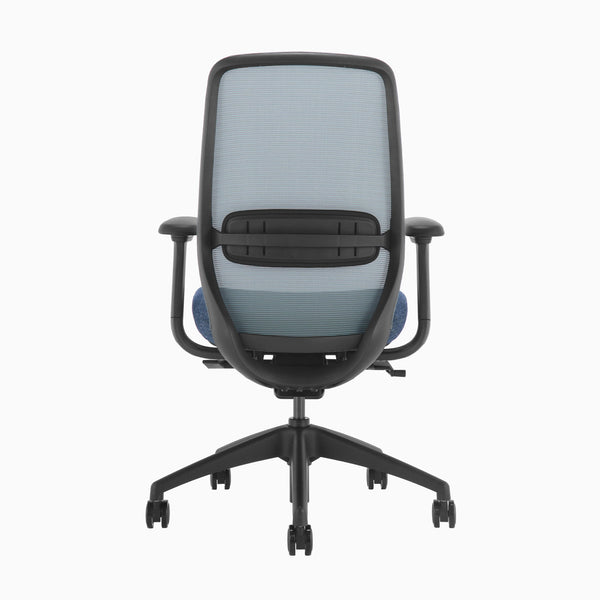 Blue ergonomic coilflex chair 