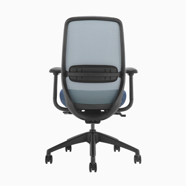 Blue ergonomic coilflex chair 