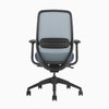 Blue ergonomic coilflex chair 