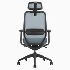 Blue coilflex spring mechanism ergo chair