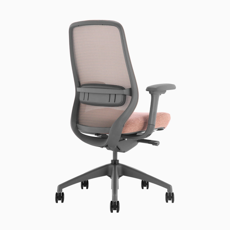 Coilflex wave system in peach - Desky