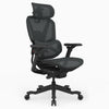 Black ergonomic mesh office chair with headrest