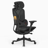 Desky Contourra chair in black ergonomic chair