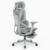 A light gray ergonomic office chair with a mesh back, adjustable armrests, a headrest, and a five-wheel base, shown on a plain white background.