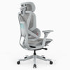 A light gray ergonomic office chair with a mesh back, adjustable armrests, and a five-star wheeled base, shown from a three-quarters angle on a white background.