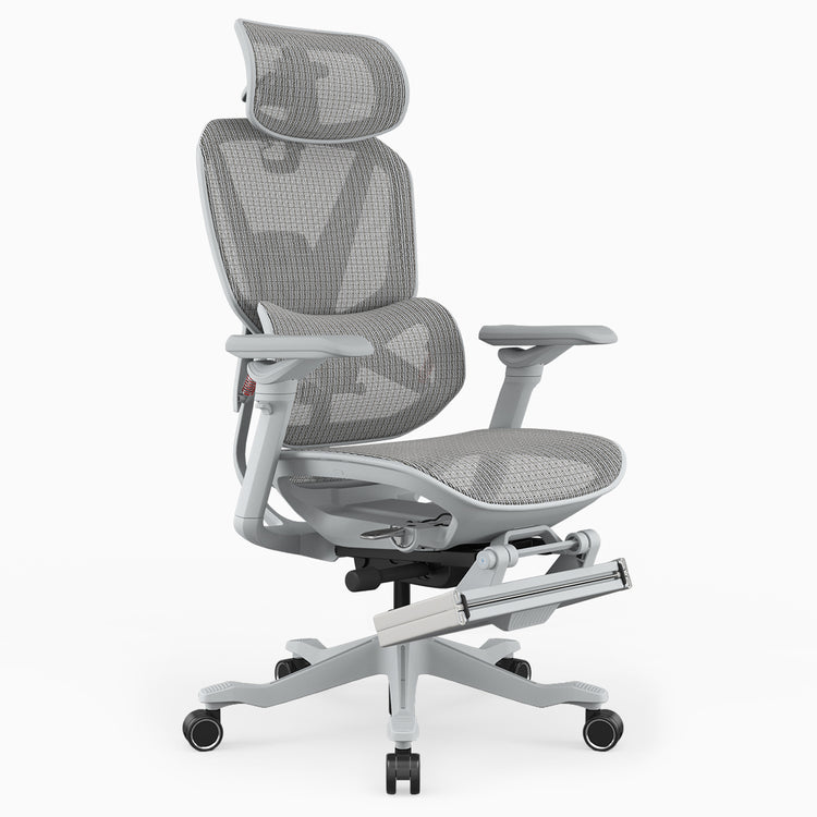 Desky Contourra Ergonomic Mesh Chair