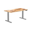 Almost Perfect Desky Dual Softwood Sit Stand Desk-Reclaimed Pine Desky®