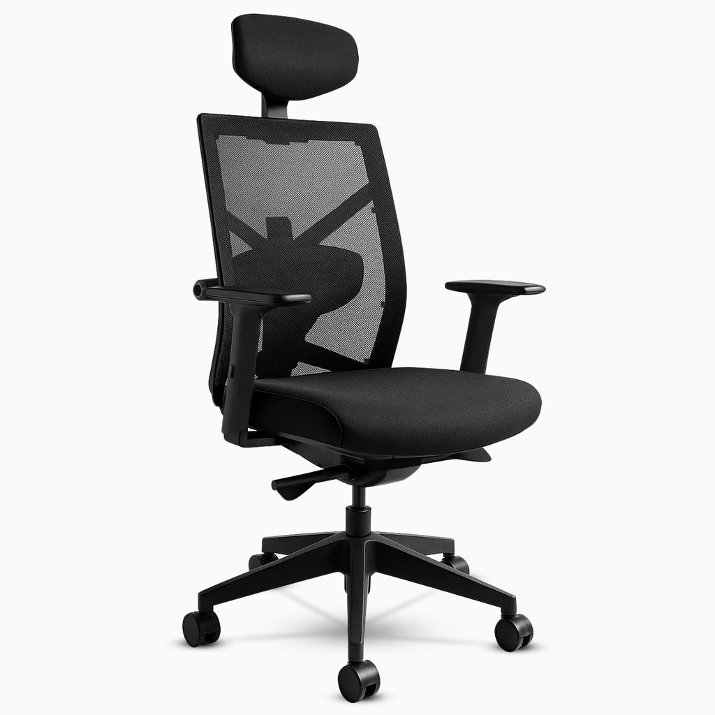 Ergonomic Chairs Australia Loves Adjustable Ergo Chairs Desky®