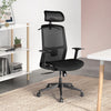 adjustable ergonomic high back mesh chair