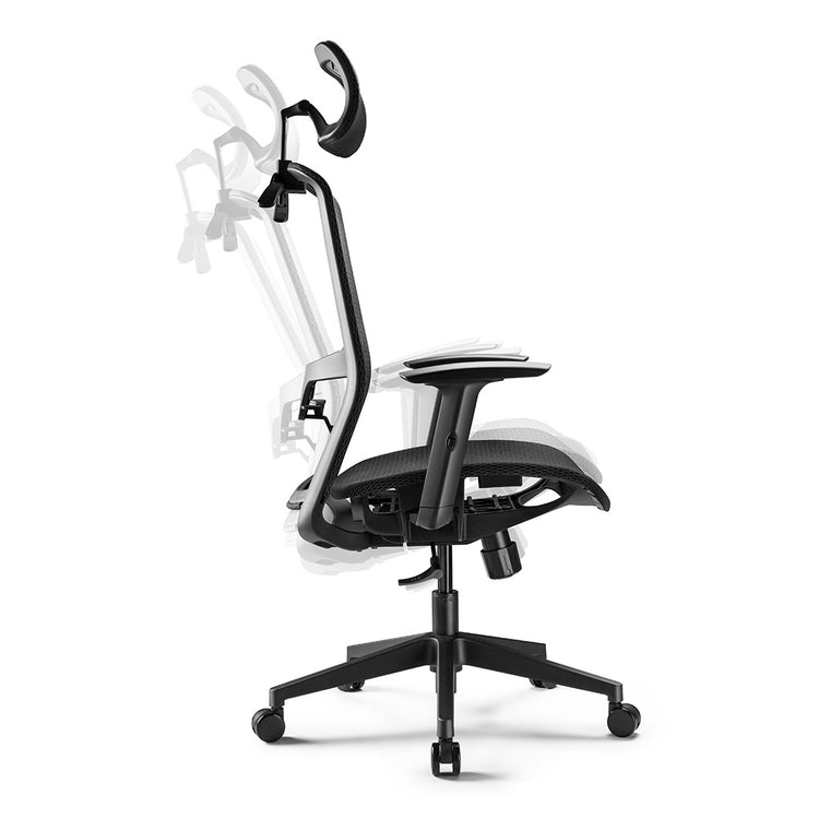 Desky Adjustable High Back Mesh Chair- Desky®