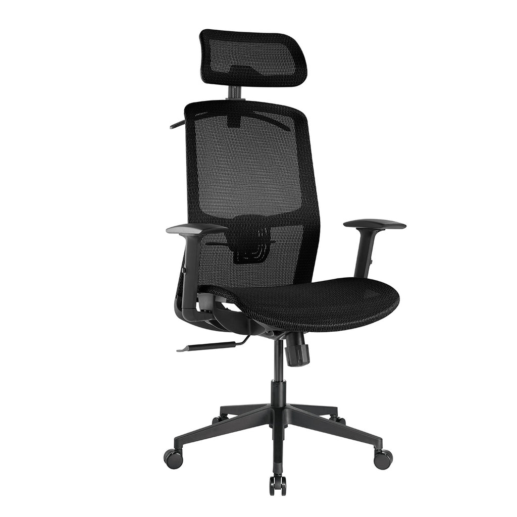 Desky Adjustable High Back Mesh Chair