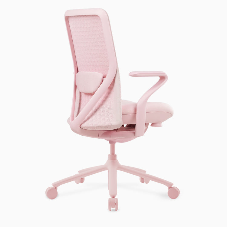 Desky Pro Ergonomic Mesh Chair