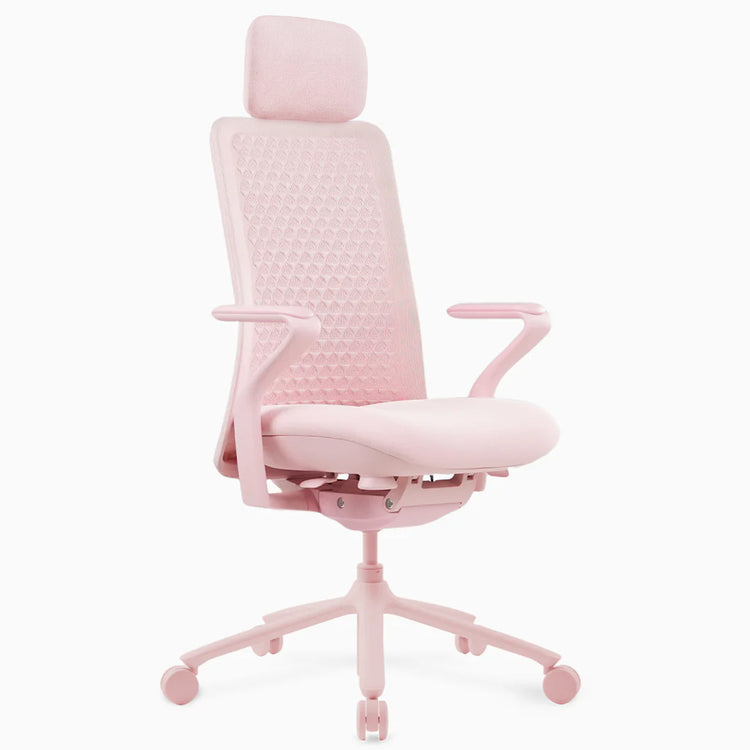 Desky Pro Ergonomic Mesh Chair