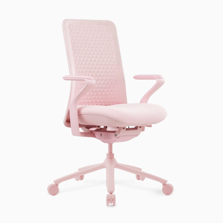 Desky Pro Ergonomic Mesh Chair