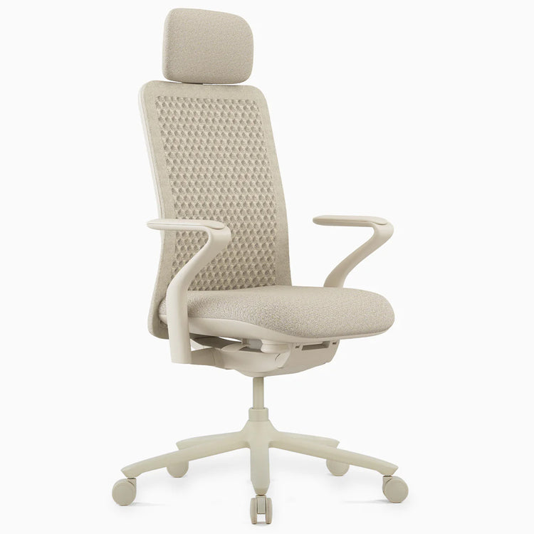 Desky Pro Ergonomic Mesh Chair