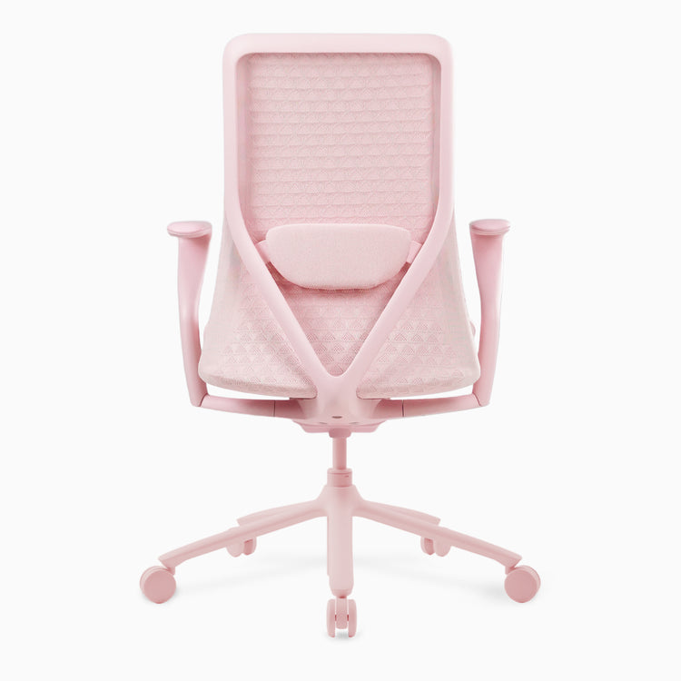 Desky Pro Ergonomic Mesh Chair