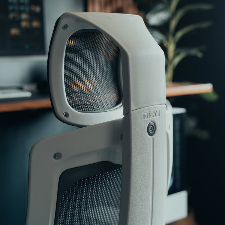 Almost Perfect Desky Pro+ Ergonomic Chair