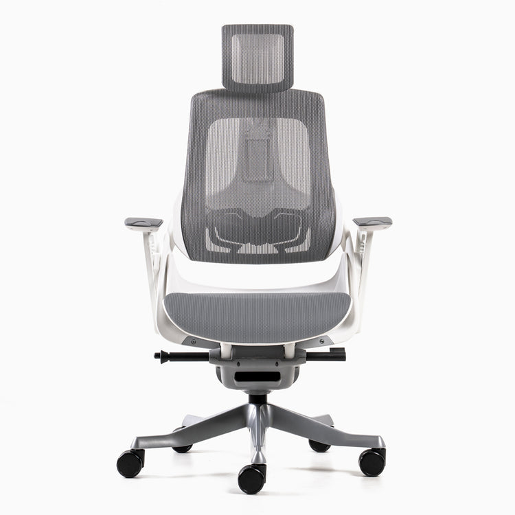 Almost Perfect Desky Pro+ Ergonomic Chair
