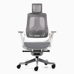 Desky pro ergonomic chair white