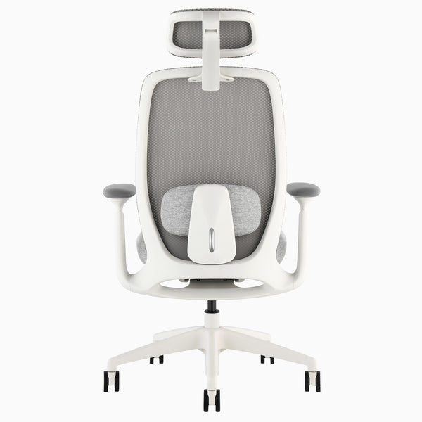 Desky Sereno Ergonomic Office Task Chair detail view 61