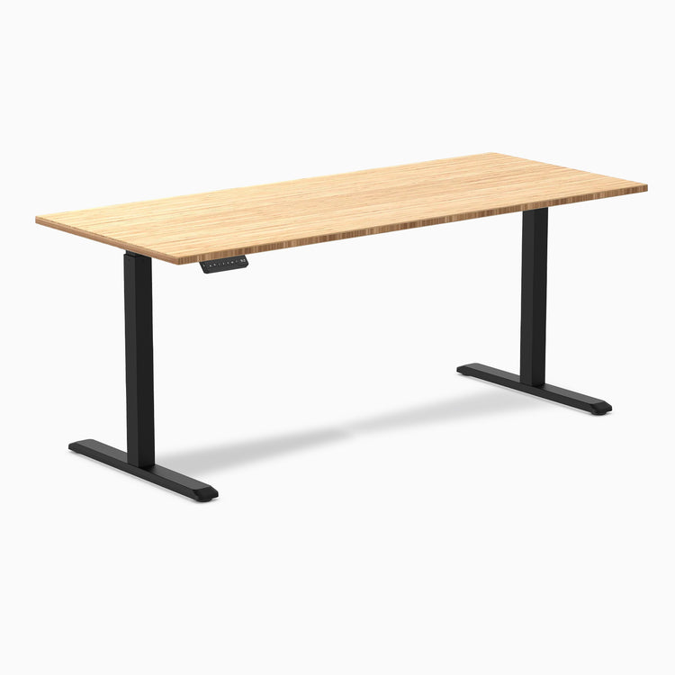 Desky Single Sit Stand Desk