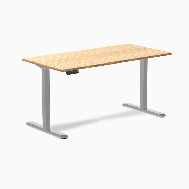 Desky Single Sit Stand Desk