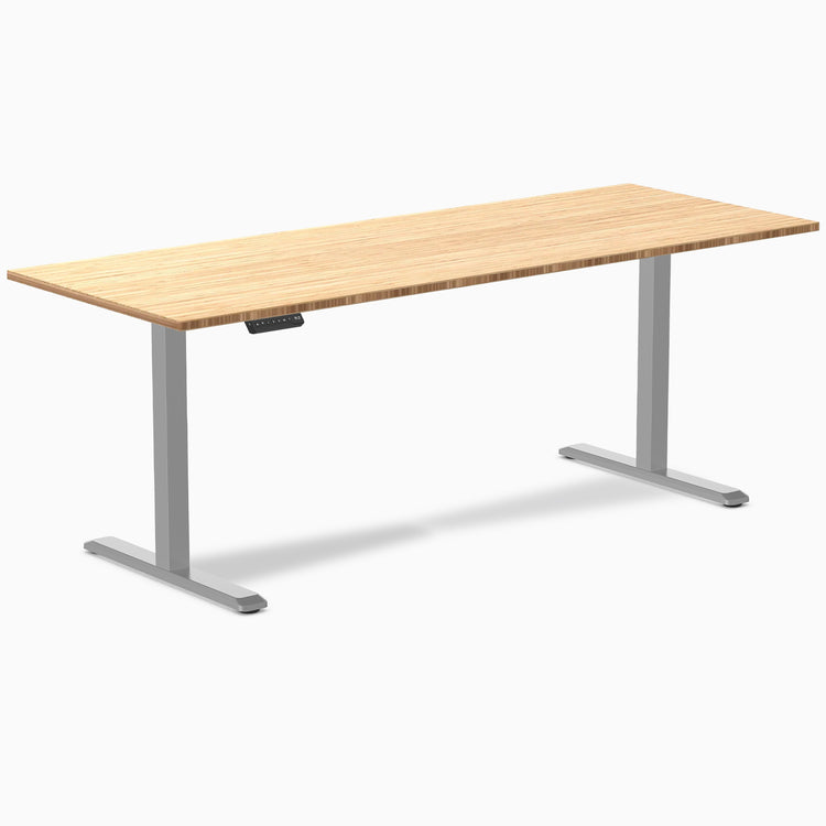 Desky Single Sit Stand Desk