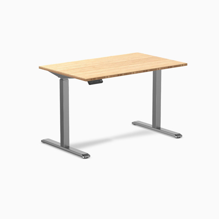 Desky Single Sit Stand Desk