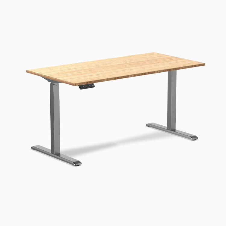 Desky Single Sit Stand Desk
