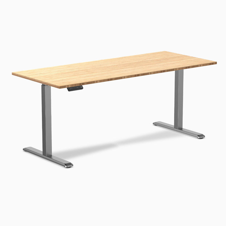 Desky Single Sit Stand Desk