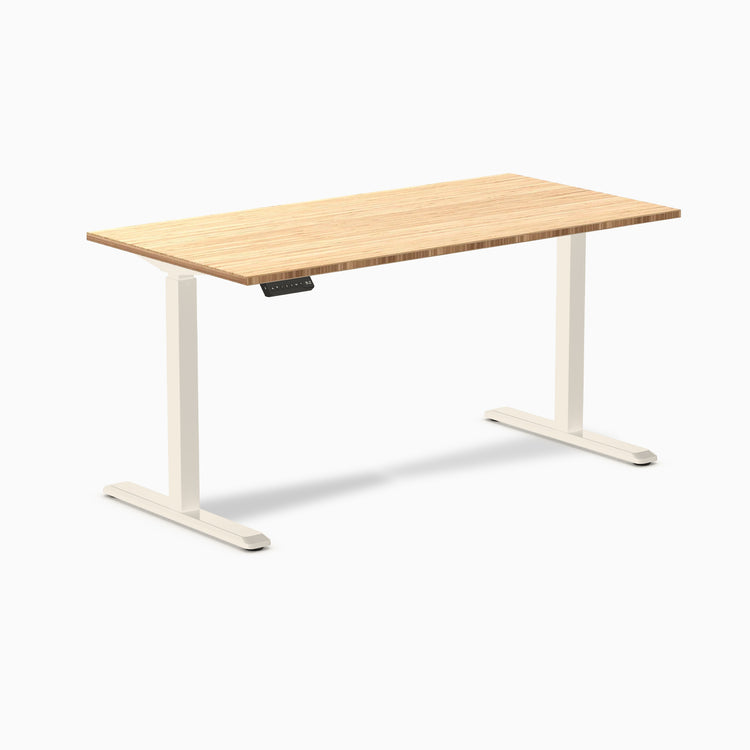 Desky Single Sit Stand Desk