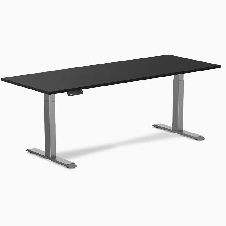 Desky Single Sit Stand Desk