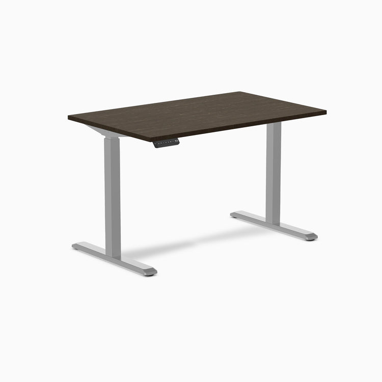Desky Single Sit Stand Desk