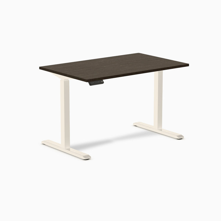 Desky Single Sit Stand Desk