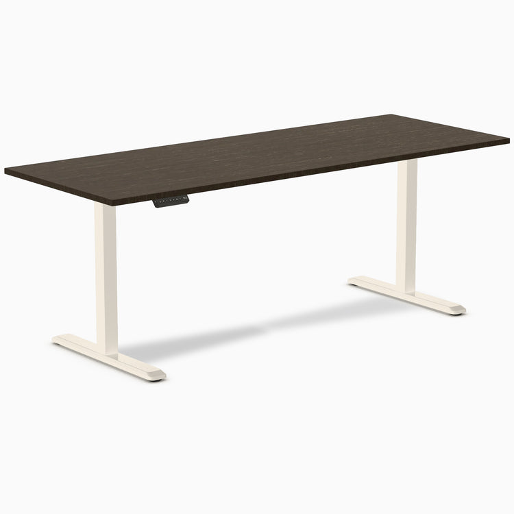 Desky Single Sit Stand Desk