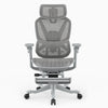 A gray ergonomic office chair with a mesh back, adjustable armrests, a headrest, and a five-wheel base, shown against a plain white background.