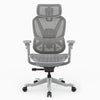 A gray mesh ergonomic office chair with adjustable armrests, a five-star base, and black casters, shown against a plain white background.