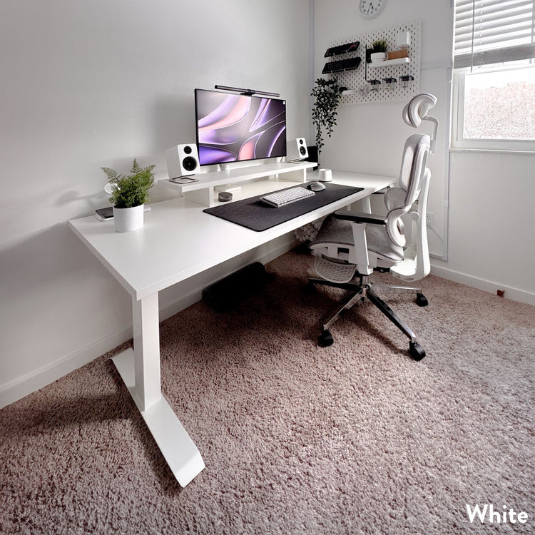 Almost Perfect Desky Dual Melamine Sit Stand Desk