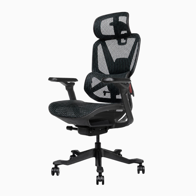 Desky contourra ergonomic office chair highly adjustable