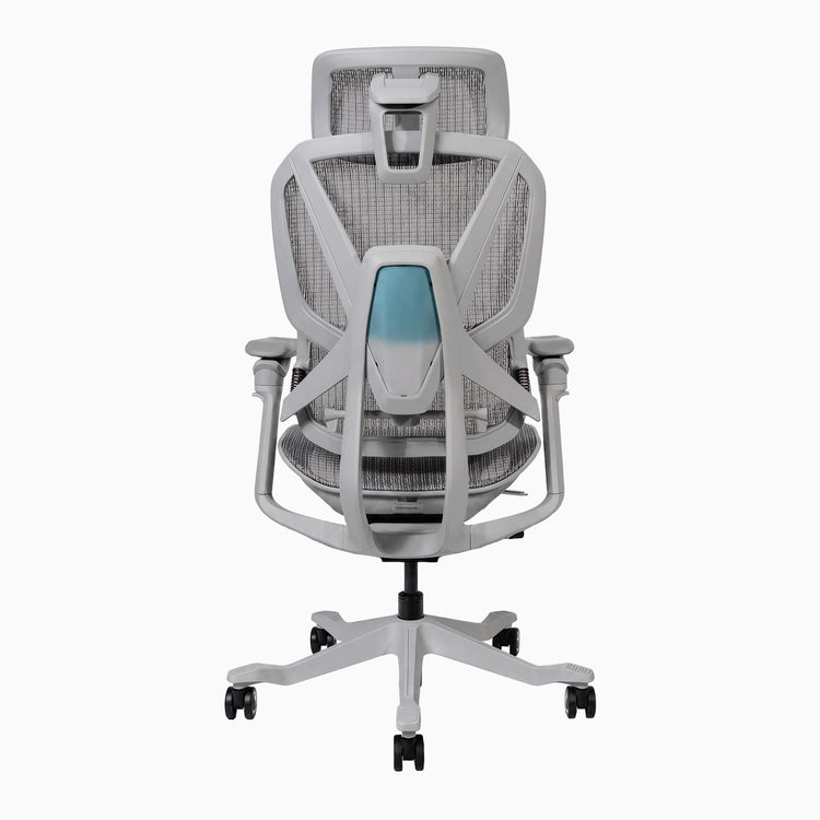 Desky contourra ergonomic office chair adjustable back