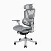 A modern ergonomic office chair with a gray mesh back, headrest, and seat, supported by a light gray five-star base with black casters.