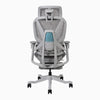 A modern gray mesh ergonomic office chair with a light gray frame, adjustable armrests, and a black five-star wheeled base