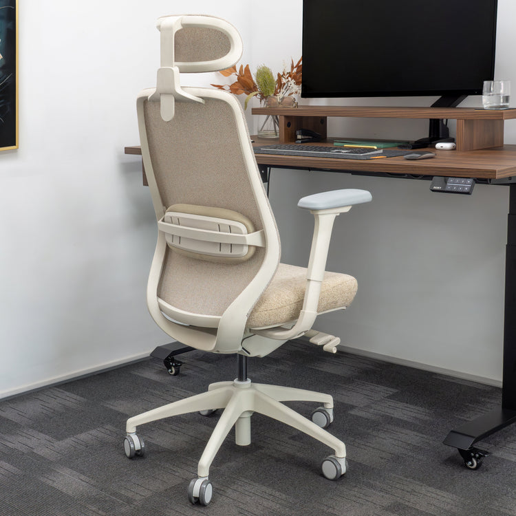 Desky CoilFlex Ergonomic Office Chair