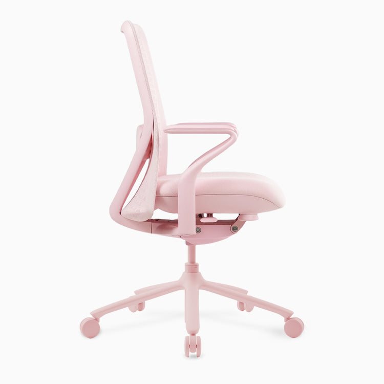 Desky Pro Ergonomic Mesh Chair