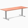 Zero softwood red cedar fixed office desk - Desky