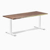 Desky zero hardwood saman fixed office desk