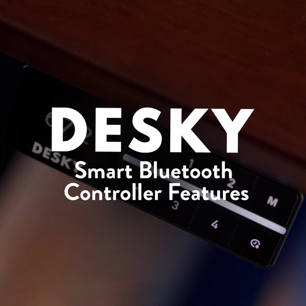 Bluetooth desky sit stand desk